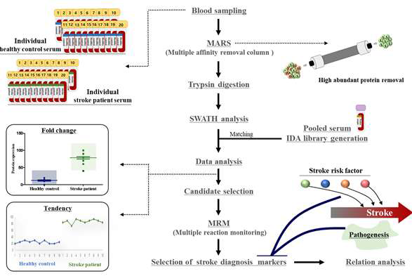 뇌졸중 환자와 정상인의 단백체 분석 개요
