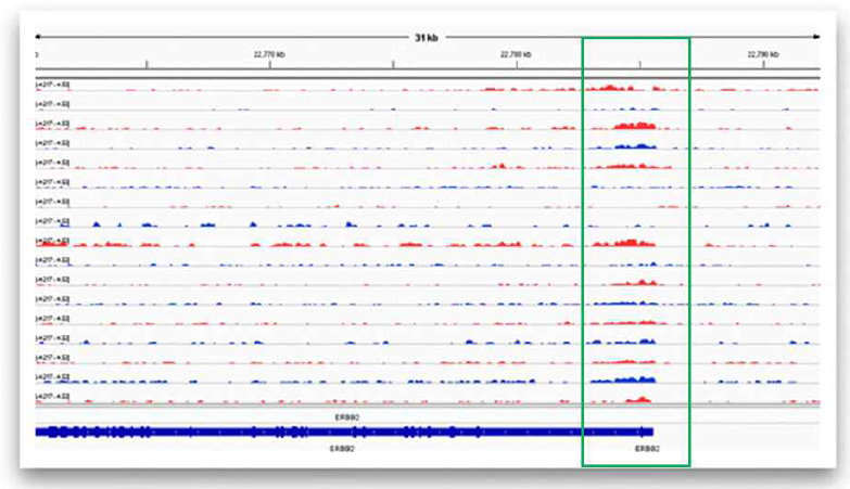 Breast cancer oncogene으로 알려진 PIK3CA, ERBB2의 promoter H3K4me3 histone mark enrichment