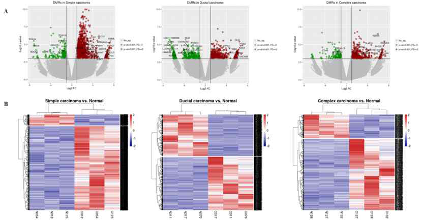 세 가지 암 종에서 통계분석을 통해 선별된 Differential methylated region을 나타내는 volcano plot (A)과 각 샘플 별로 DMR에 대한 값을 이용해 clustering 하고 heatmap 을 통해 나타낸 그림 (B)