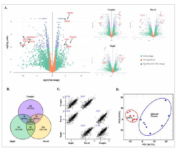 암과 정상조직에서 차이나게 발현하는 유전자 그룹을 대상으로 한 분석. (A) Volcano plot을 통해 암에서 4배 이상 증가하며 p value 0.01 이하인 유전자 그룹을 선별. (B) 각 유선암 서브타입사이에 존재하는 유전자리스트의 비교. (C) 각 그룹간 코릴레이션. (D) PCA 분석을 통해 이들 유전자 군이 암과 정상 그룹을 구분지을 수 있음을 보임