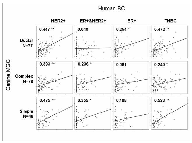 사람 유방암의 분자생물학적 서브 타입과 개 유선암 조 직학적 서브타입 간의 코릴레이션