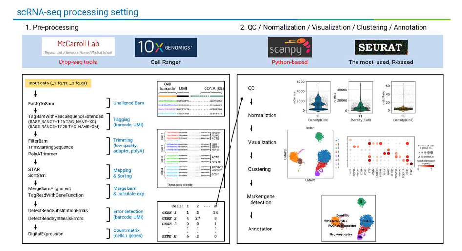 단일 세포 전사체 데이터 분석 파이프라인 구축