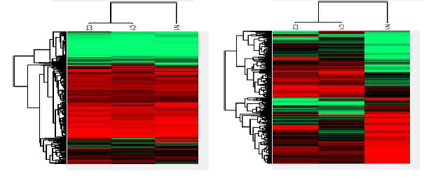 heatmap clustering in PBMC