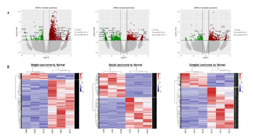 세 가지 암 종에서 통계분석을 통해 선별된 Differential methylated region을 나타내는 volcano plot (A) 과 각 샘플 별로 DMR에 대한 값을 이용해 clustering 하고 heatmap을 통해 나타낸 그림 (B)