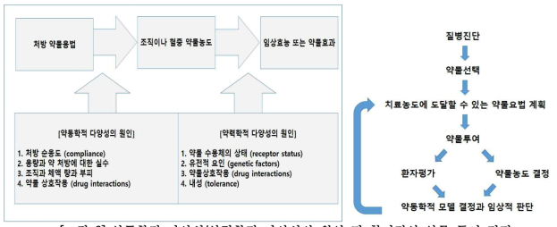 약동학적 다양성/약력학적 다양성의 원인 및 합리적인 약물 투여 결정