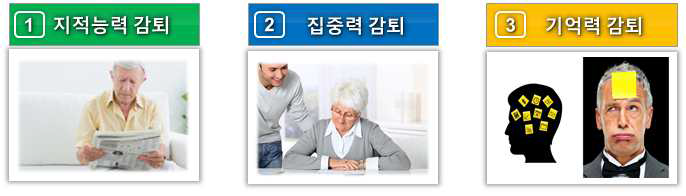 고령화 및 독거노인의 주요 인지적 상태특성