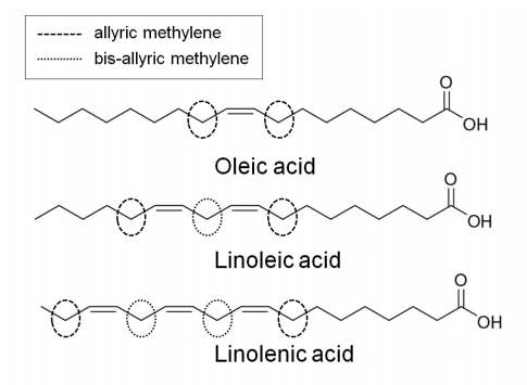 Oleic acid, Linoleic acid, Linolenic acid 메틸에스테르의 구조