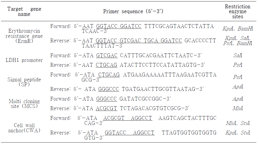 The primer sequences of SARS-CoV-2 antigen candidates and restriction endonuclease sites used for PCR amplification and pUGK4 shuttle vector cloning