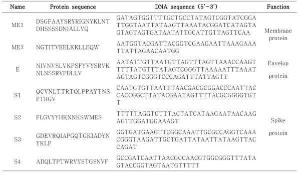 The proteins and optimized DNA sequences of SARS-CoV-2 antigen candidates