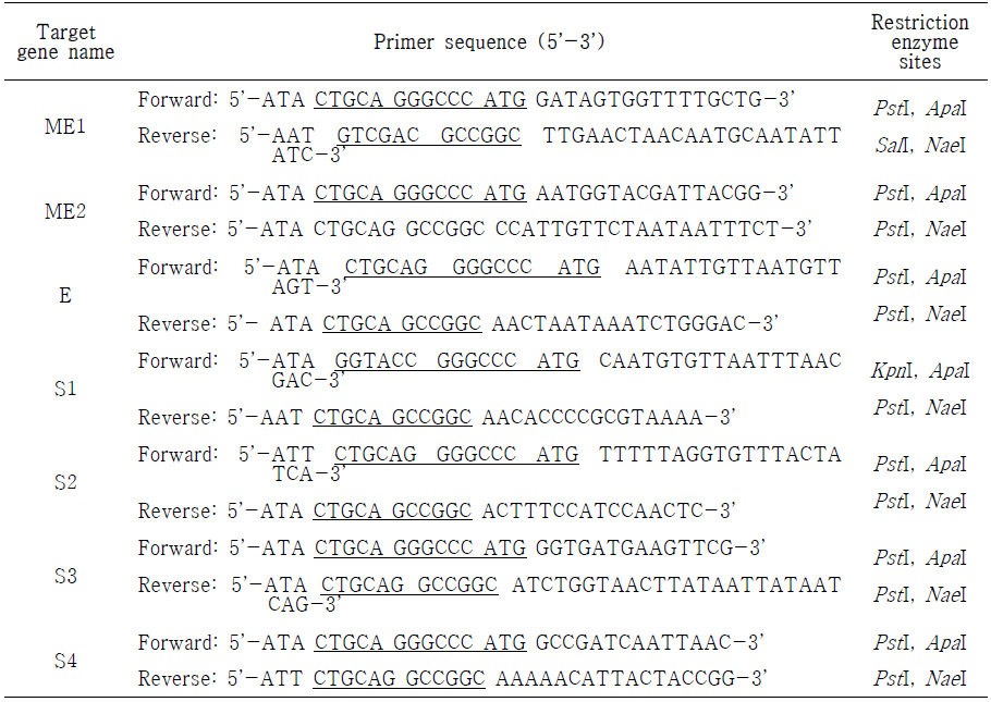 The primer sequences of SARS-CoV-2 antigen candidates and restriction endonuclease sites used for PCR amplification and pUGK4 shuttle vector cloning