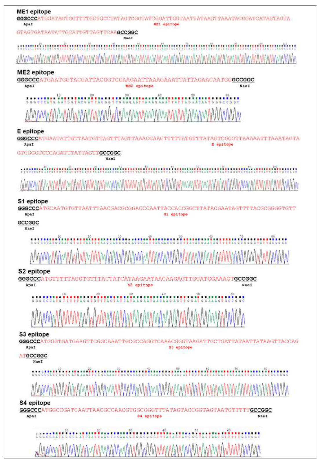 Sequencing results of SARS-CoV-2 antigen candidates cloned with pUGK4 vector