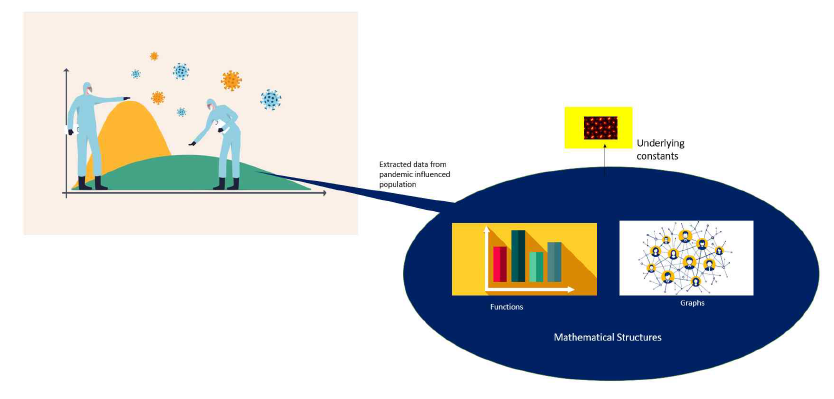 Overview of determination of parameters from a pandemic data