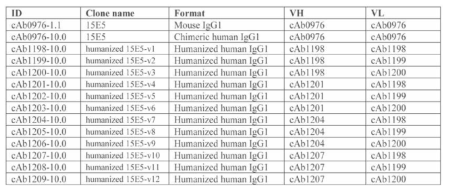 12 종류의 humanized antibody clone들의 제작