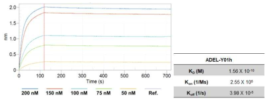 항체 농도에 따른 Kinetic assay