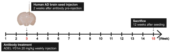 In vivo propagation 실험 스케쥴