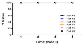 항체 반복 투여 기간 동안 생존 유무 측정