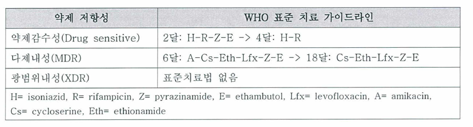 WHO 결핵 치료 가이드라인