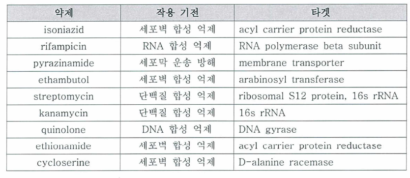 현재 주로 사용되는 결핵 치료제와 그의 작용 기전