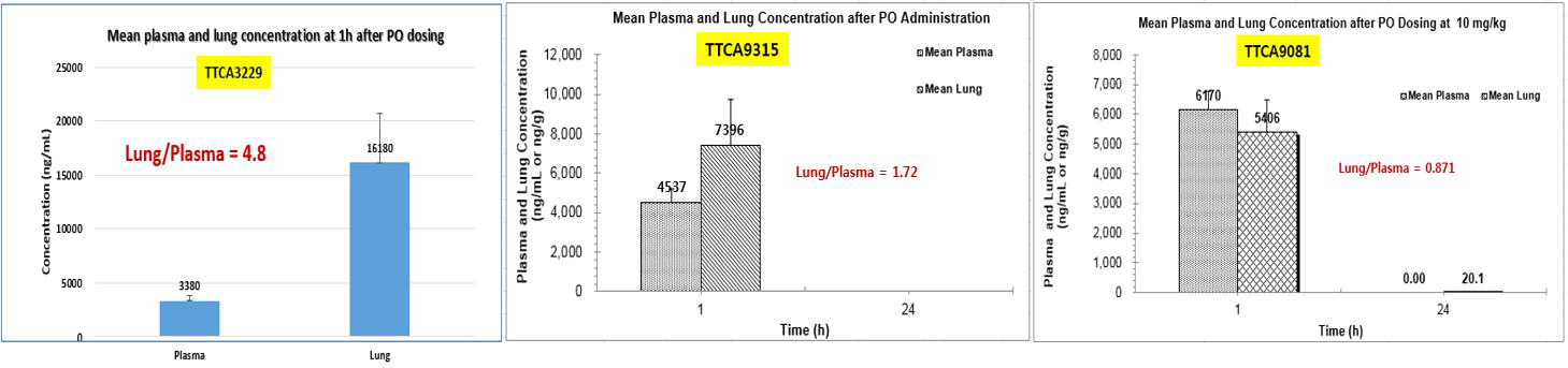 경구 투여 (10 mg/kg) 1시간 후, 혈액 및 폐에 존재하는 약물 농도