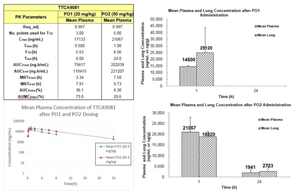 TTCA9081의 20 mg/kg, 50 mg/kg 경구 투여 PK data