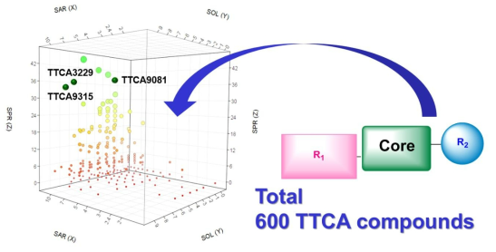 TTCA 화합물에 대한 SAR과 SPR 스코어링 시스템