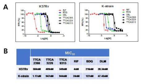 TTCA 화합물들의 H37Rv, K-strain에 대한 억제효력