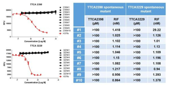 TTCA2398, TTCA3229 화합물에 내성인 자연발생 돌연변이체의 억제효력