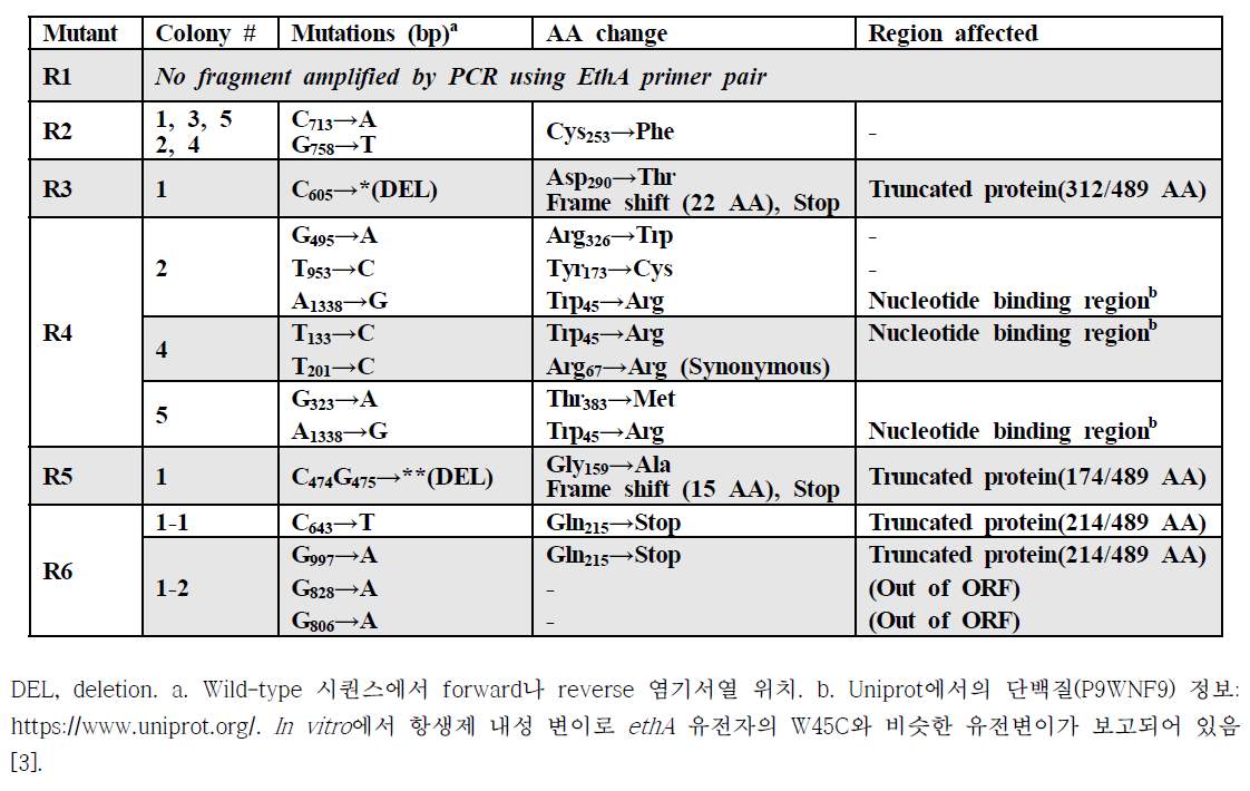 TTCA3229 화합물 내성이 확인된 6 종 돌연변이 결핵균주의 염기서열 분석 결과