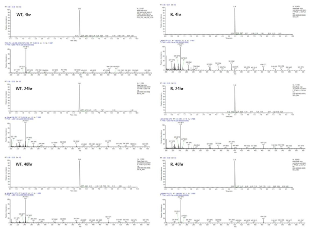 TTCA3229 화합물의 대사산물 확인을 위한 LC/MS/MS 분석 결과