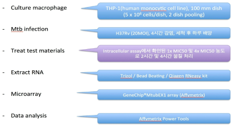 Microarray 분석의 전반적인 순서도