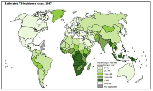 2017년 세계 결핵 감염 인구 (WHO)