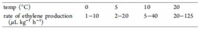 에틸렌 발생량과 온도 관계(사과)