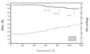 Talc의 TG 분석 결과