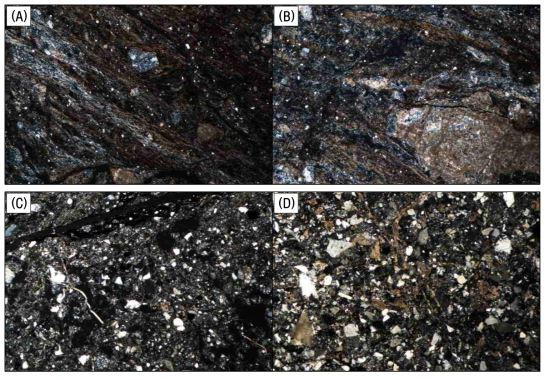 (A), (B) 60.30m thin section, (C), (D) 61.66m thin section