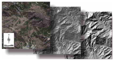 위성사진과 항공라이다 기반 지형, 지표모델의 비교(대전 보문산 지역, 김현태 외, 2014)
