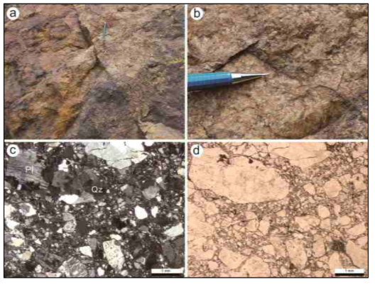 (a) 흑운모화강암1 전경. 화강암 내에는 소규모 단층 및 절리가 발달하고 있음. (b) 흑운모화강암1 근접사진. (c Pl, 사장석; Bt, 흑운모
