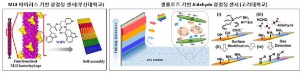 국내 연구진(부산대학교, 고려대학교)에 의해 개발된 VOC 광결정 센서