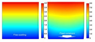 유한요소해석을 이용한 경계조건에 따른 swelling 현상 결과