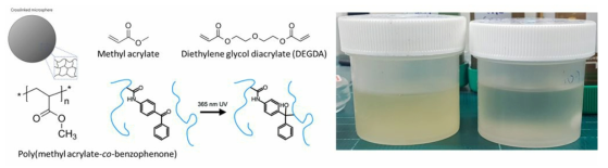 본 연구에서 개발한 Poly(methylacrylate-co-Benzophenone acrylamide) 고분자