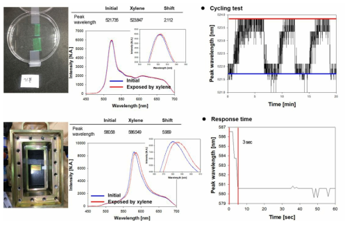 기체 상태의 xylene에 노출에 의한 센서의 색변화 결과