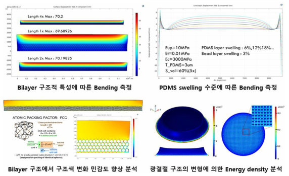 유한요소해석(FEA)을 통한 광결정 구조의 구조색 변화 연구