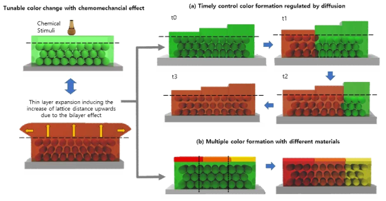 박막-광결정 멀티스케일 계층적 구조를 이용한 색변화 시공간 제어 원리