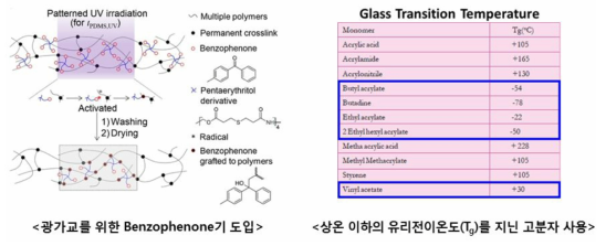 상온 이하의 유리전이온도를 가진 고분자의 광가교를 통한 네트워크 형성