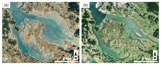 Changes in shorelines and vegetation coverage within the study area between 1984 and 2020. (a) The satellite image taken in 1984 shows the area prior to the start of the large-scale reclamation project. (b) Current shorelines, vegetation, and urbanization are shown in thesatellite image taken in 2020. Images are taken from Google Earth (2020)
