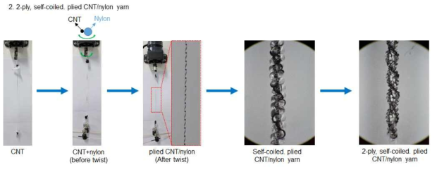 2ply, self-coiled, plied CNT/nylon yarn 제조 과정