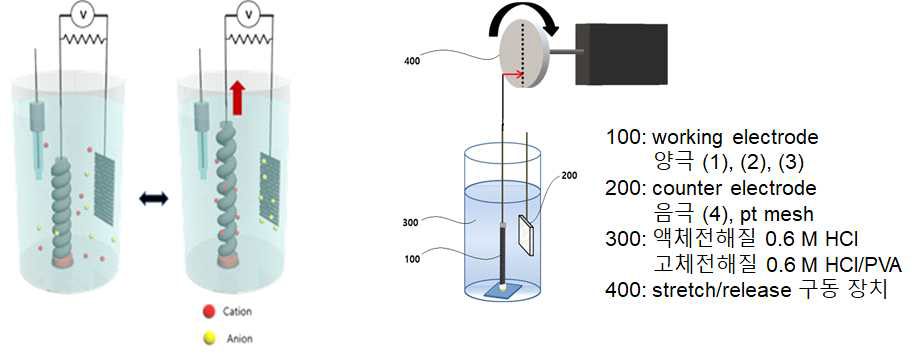 (왼) 전극 성능 측정 모식도 (오) 실험 수행 모식도
