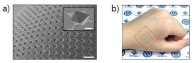 제조된 신축 전극의 FE-SEM 이미지 및 손등 위 부착된 이미지. Scale bar: 30 μm