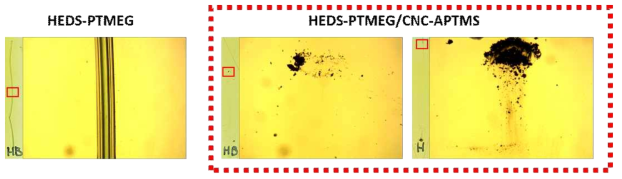 HEDS-PTMEG와 HEDS-PTMEG/CNC-APTMS 코팅의 연필경도 테스트. 카메라(좌), 광학현미경(우)