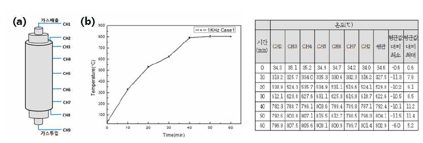 (a) 반응관 내부 온도 측정 포인트 (b) 반응관 내부온도 측정