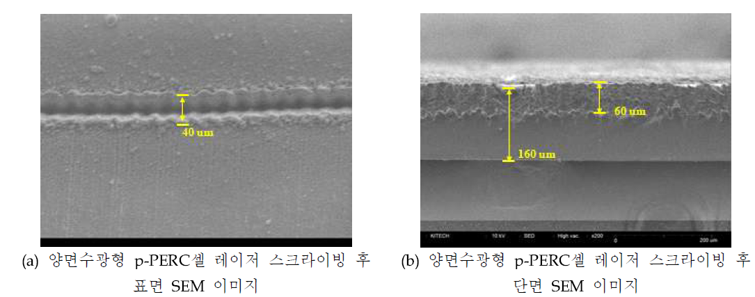 양면수광형 p-PERC셀 최적 레이저 스크라이빙 후 분석한 SEM 이미지